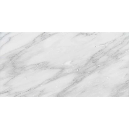 MSI Arabescato Carrara SAMPLE Honed Marble Floor And Wall Tile ZOR-NS-0096-SAM